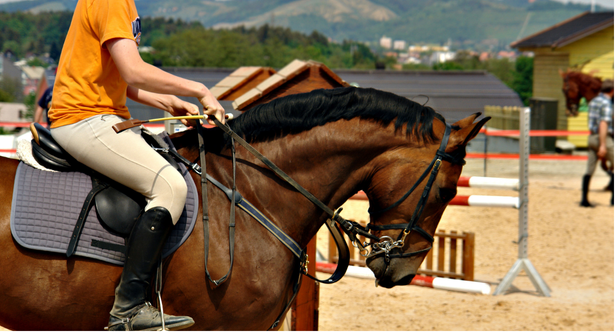Equitation
