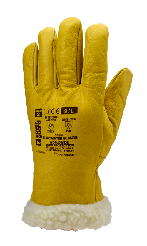 Gants Eurowinter Islande